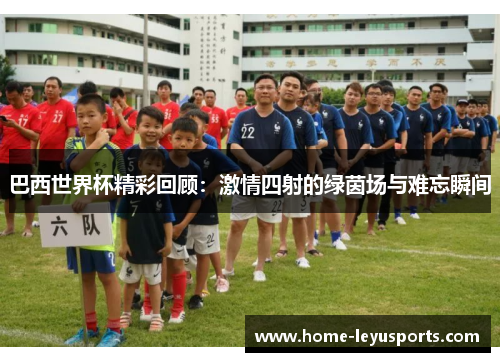 巴西世界杯精彩回顾：激情四射的绿茵场与难忘瞬间